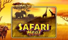 Safari Heat Slotxo